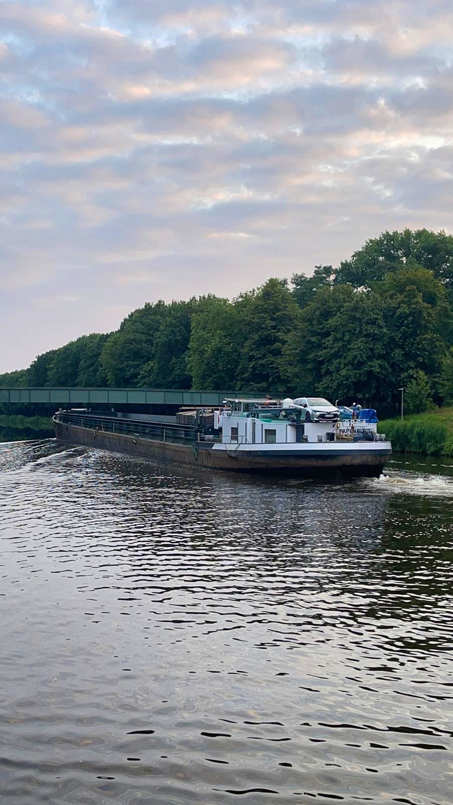 Orca — thumbnail 2